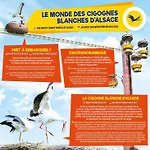 Au Coeur Du Val D'argent Apartman *