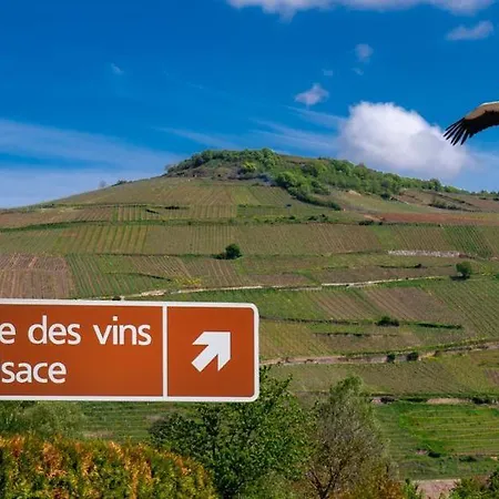 Apartman Au Coeur Du Val D'argent Sainte-Croix-aux-Mines