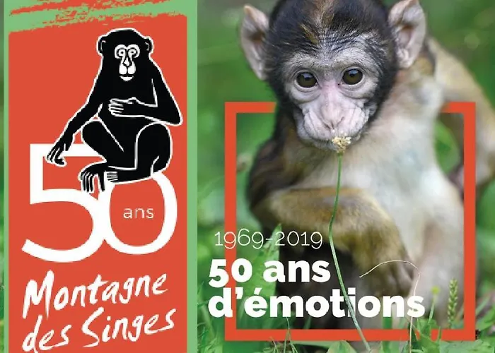 Apartmán Au Coeur Du Val D'argent *